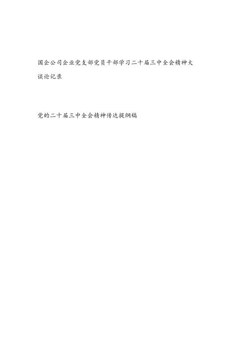 国企公司企业党支部党员干部学习二十三中全会精神大讨论记录.docx