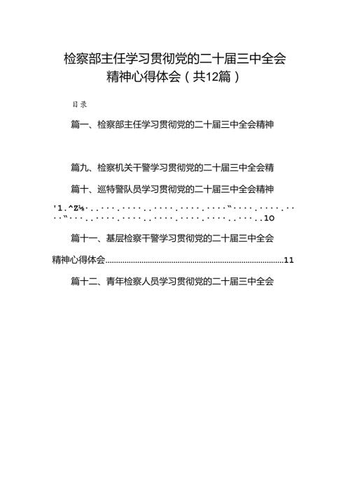 检察部主任学习贯彻党的二十三中全会精神心得体会（共12篇选择）.docx