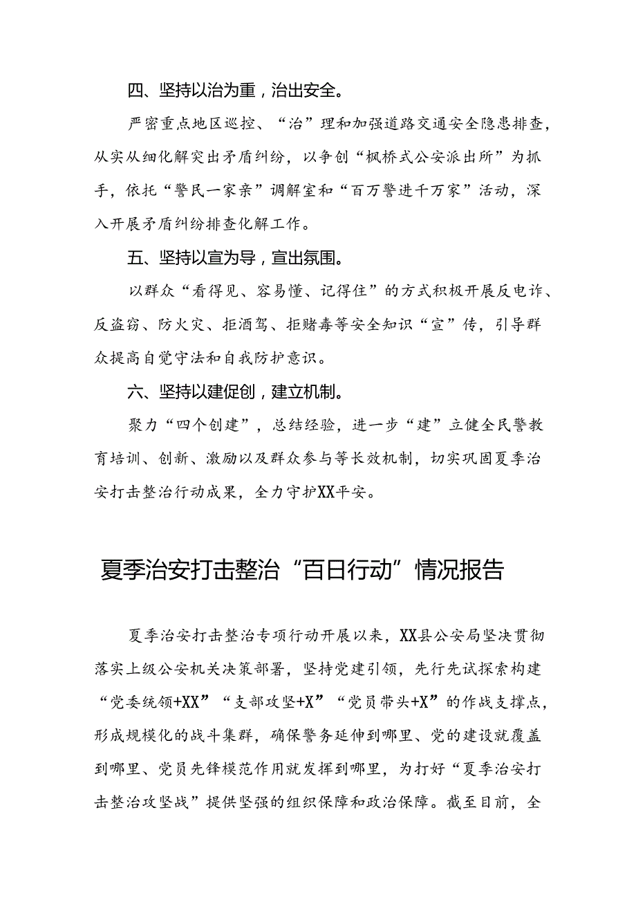 公安夏季治安打击整治工作总结报告四篇.docx_第2页