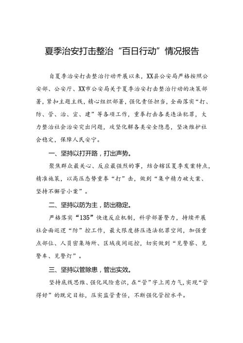 公安夏季治安打击整治工作总结报告四篇.docx