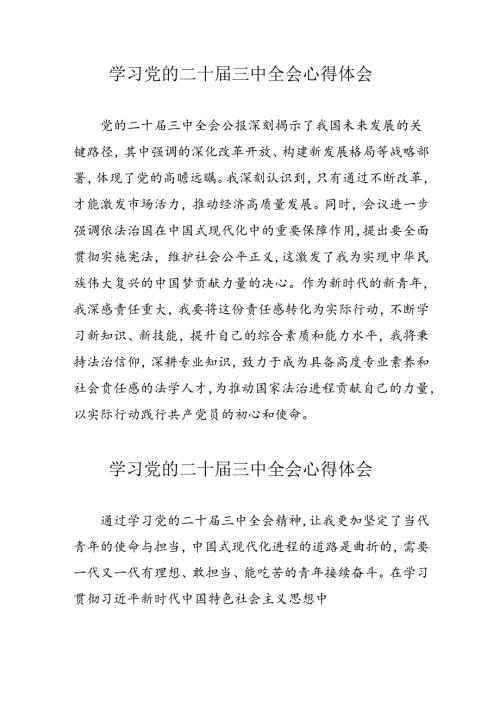 2024年学习党的二十三中全会心得体会 （10份）.docx