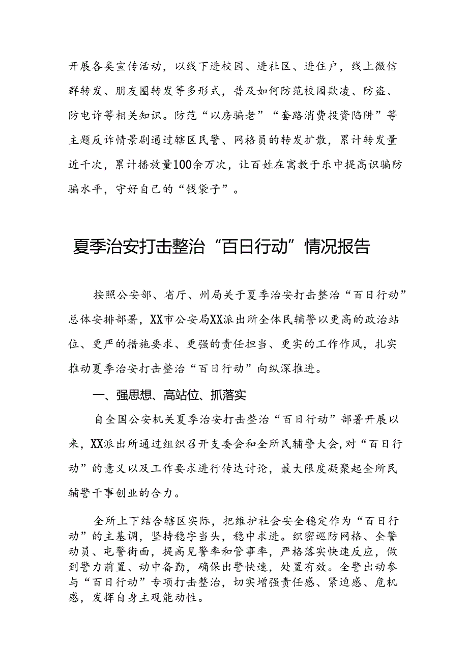 公安夏季治安打击整治“百日行动”工作总结(七篇).docx_第3页