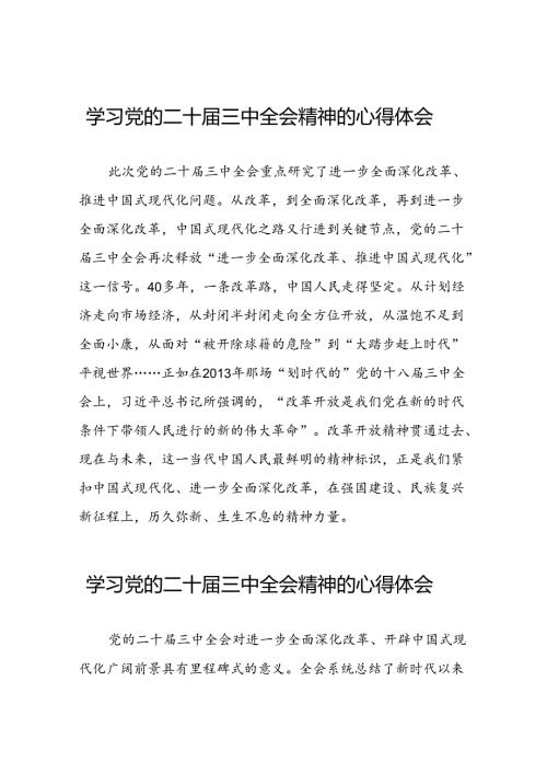 2024年党的二十三中全会精神心得感悟交流体会39篇.docx