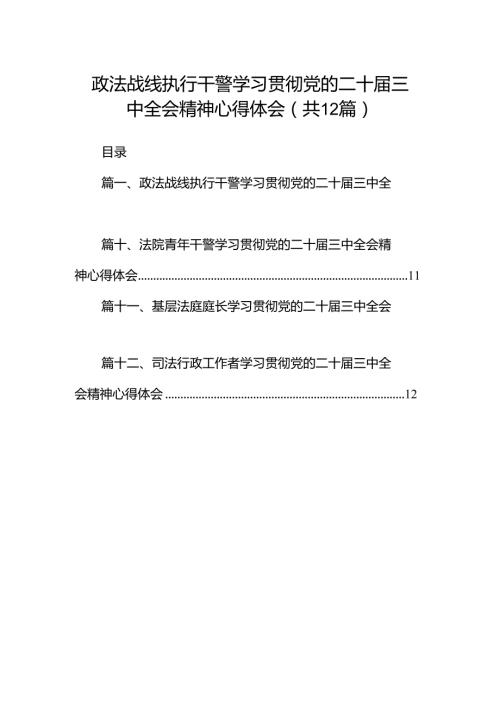 政法战线执行干警学习贯彻党的二十三中全会精神心得体会12篇（精选）.docx