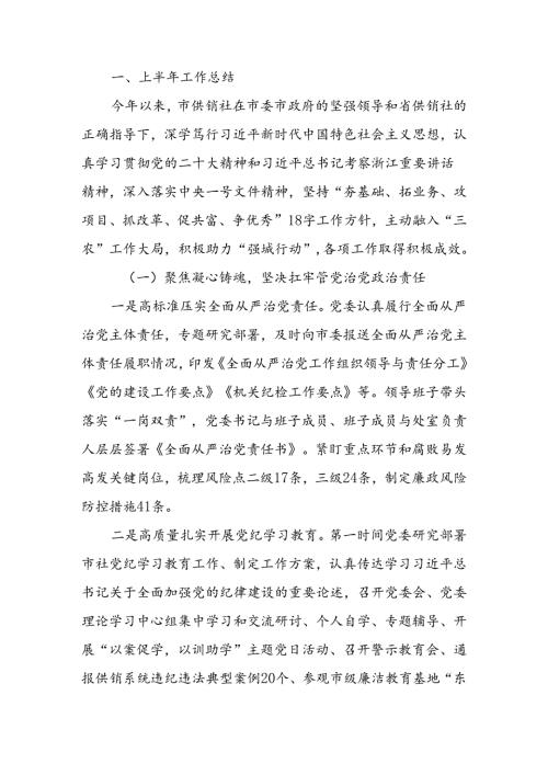 供销社2024年上半年工作总结和下半年工作思路.docx
