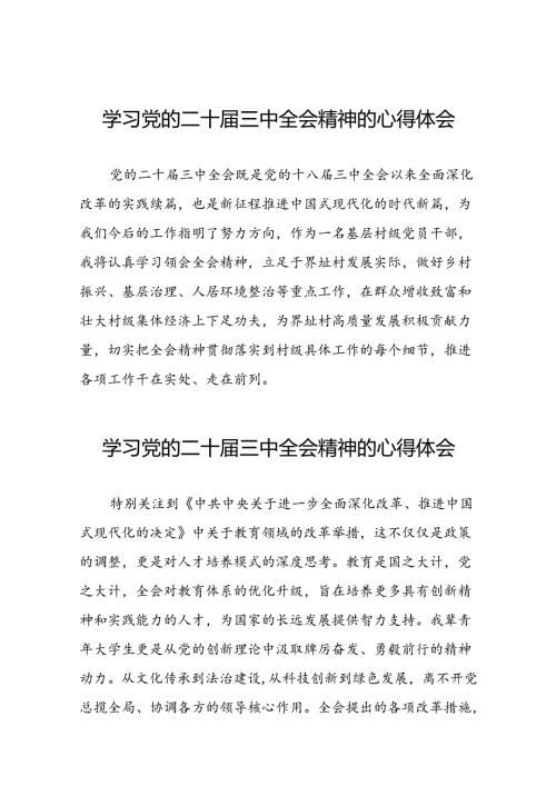 2024年二十三中全会精神学习体会范本三十篇.docx
