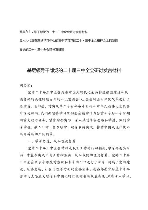 基层领导干部党的二十三中全会研讨发言材料党的二十三中全会精神宣讲稿.docx