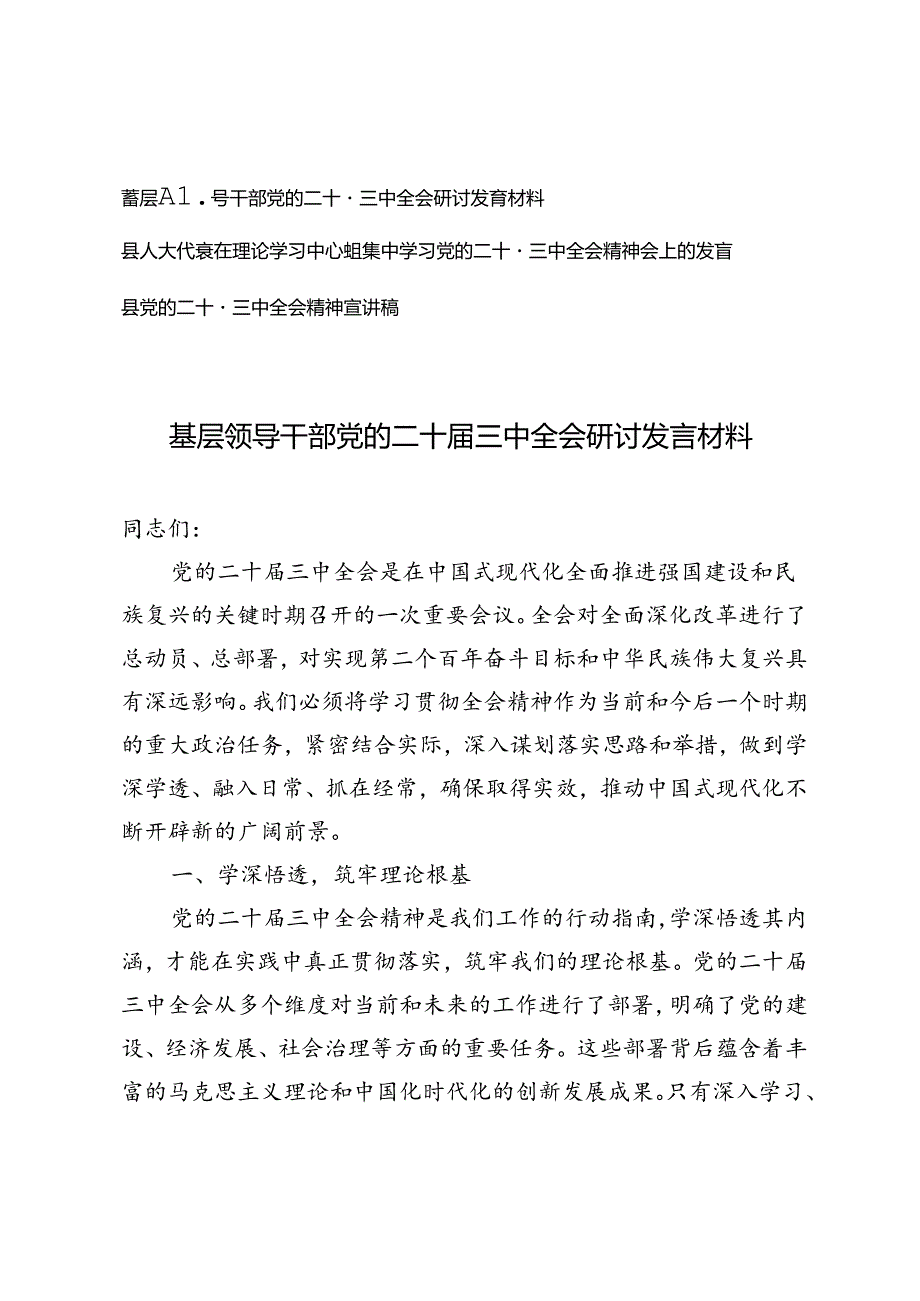 基层领导干部党的二十三中全会研讨发言材料党的二十三中全会精神宣讲稿.docx_第1页