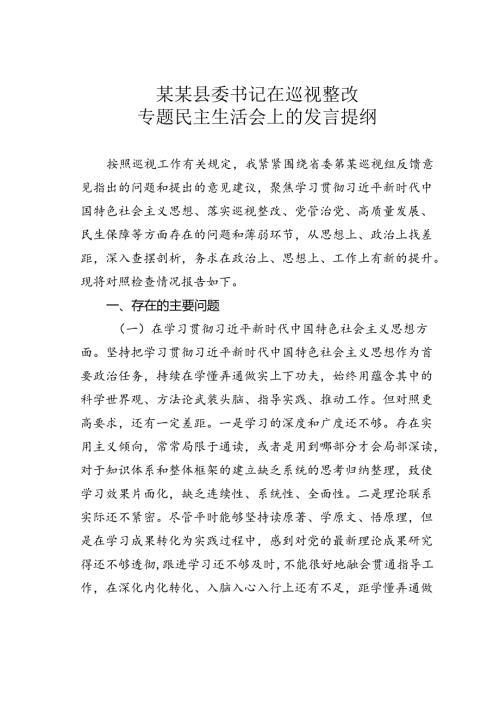 某某县委书记在巡视整改专题民主生活会上的发言提纲.docx
