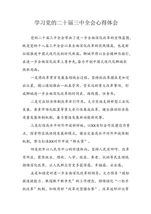 学习2024年学习党的二十三中全会个人心得感悟 （4份）79.docx