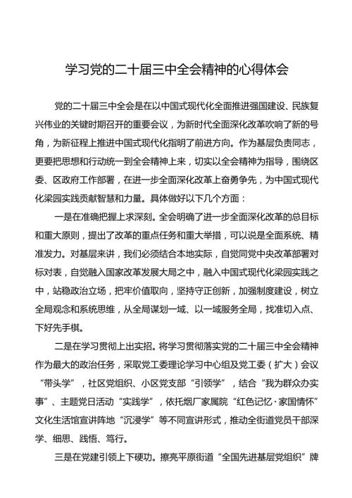 2024年关于党的二十三中全会精神心得体会学习感悟13篇.docx