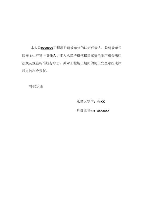 法定代表人项目安全生产承诺书(1).docx