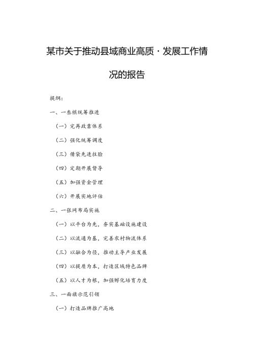 某市关于推动县域商业高质量发展工作情况的报告(1).docx