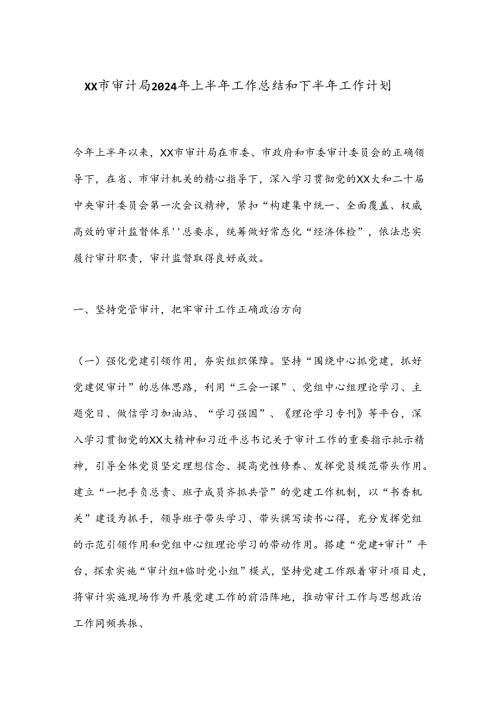 XX市审计局2024年上半年工作总结和下半年工作计划.docx