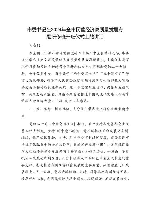 市委书记在2024年全市民营经济高质量发展专题研修班开班仪式上的讲话.docx