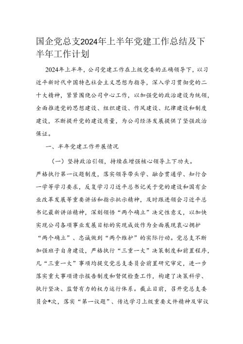 国企党总支2024年上半年党建工作总结及下半年工作计划(1).docx