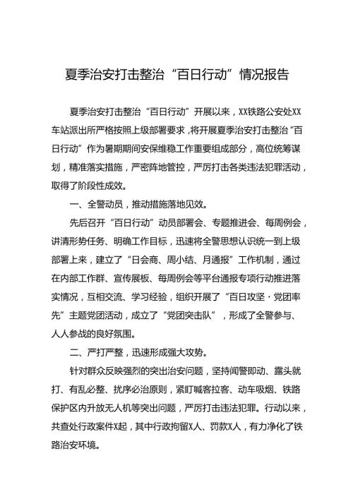 公安夏季治安打击整治“百日行动”工作总结四篇.docx