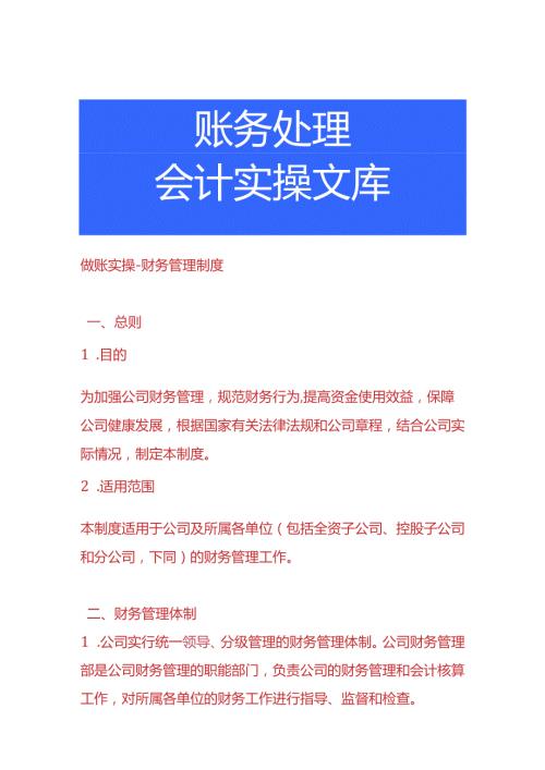 做账实操财务管理制度.docx
