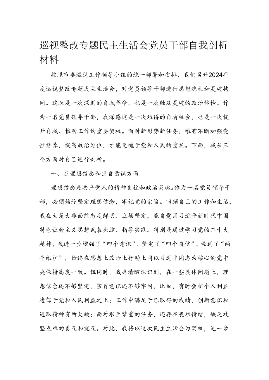 巡视整改专题民主生活会党员干部自我剖析材料(1).docx_第1页
