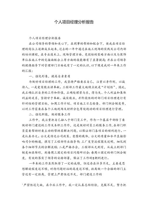 个人项目经理分析报告.docx