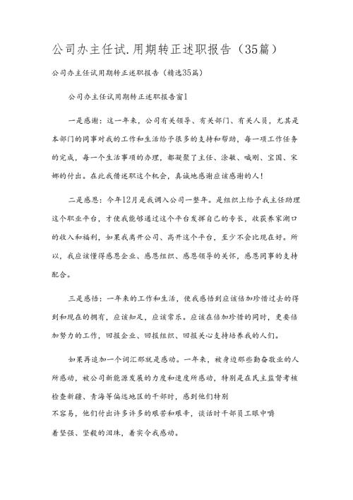 公司办主任试用期转正述职报告（35篇）.docx