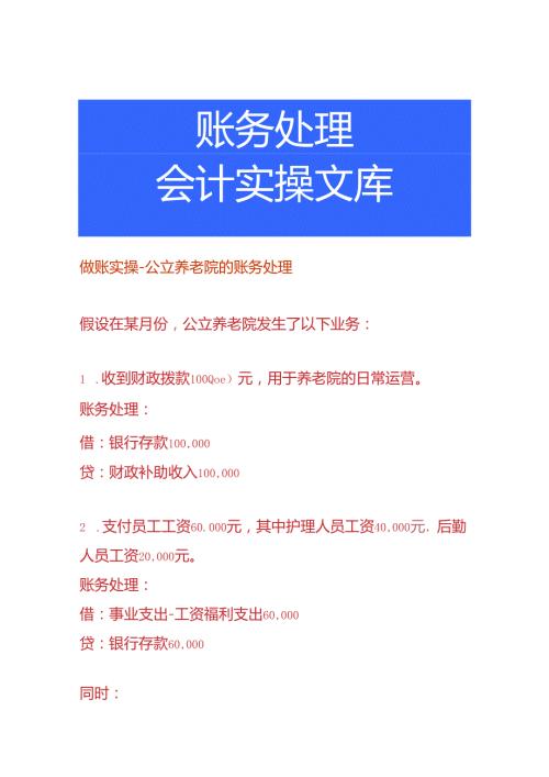 做账实操公立养老院的账务处理.docx