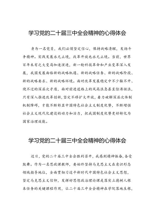 党员干部二十三中全会精神学习体会五十篇.docx
