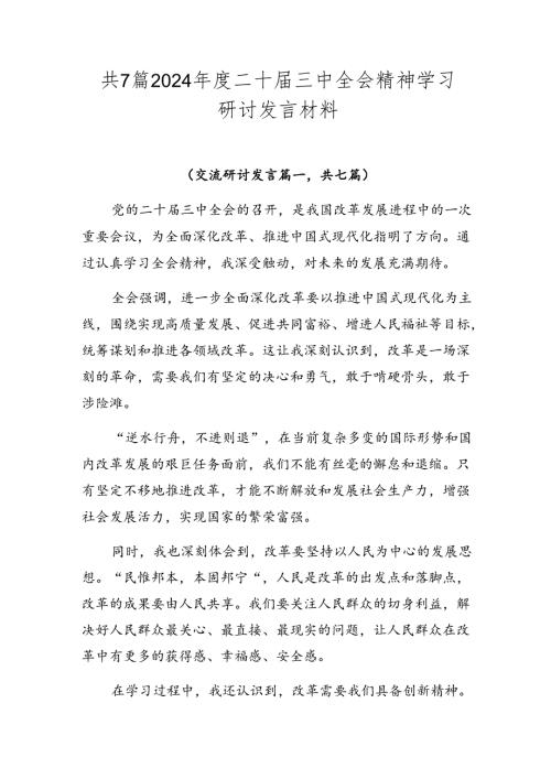 共7篇2024二十三中全会精神学习研讨发言材料.docx