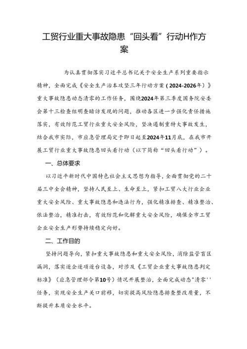 2024.8《天津市工贸行业重大事故隐患回头看行动工作方案》.docx