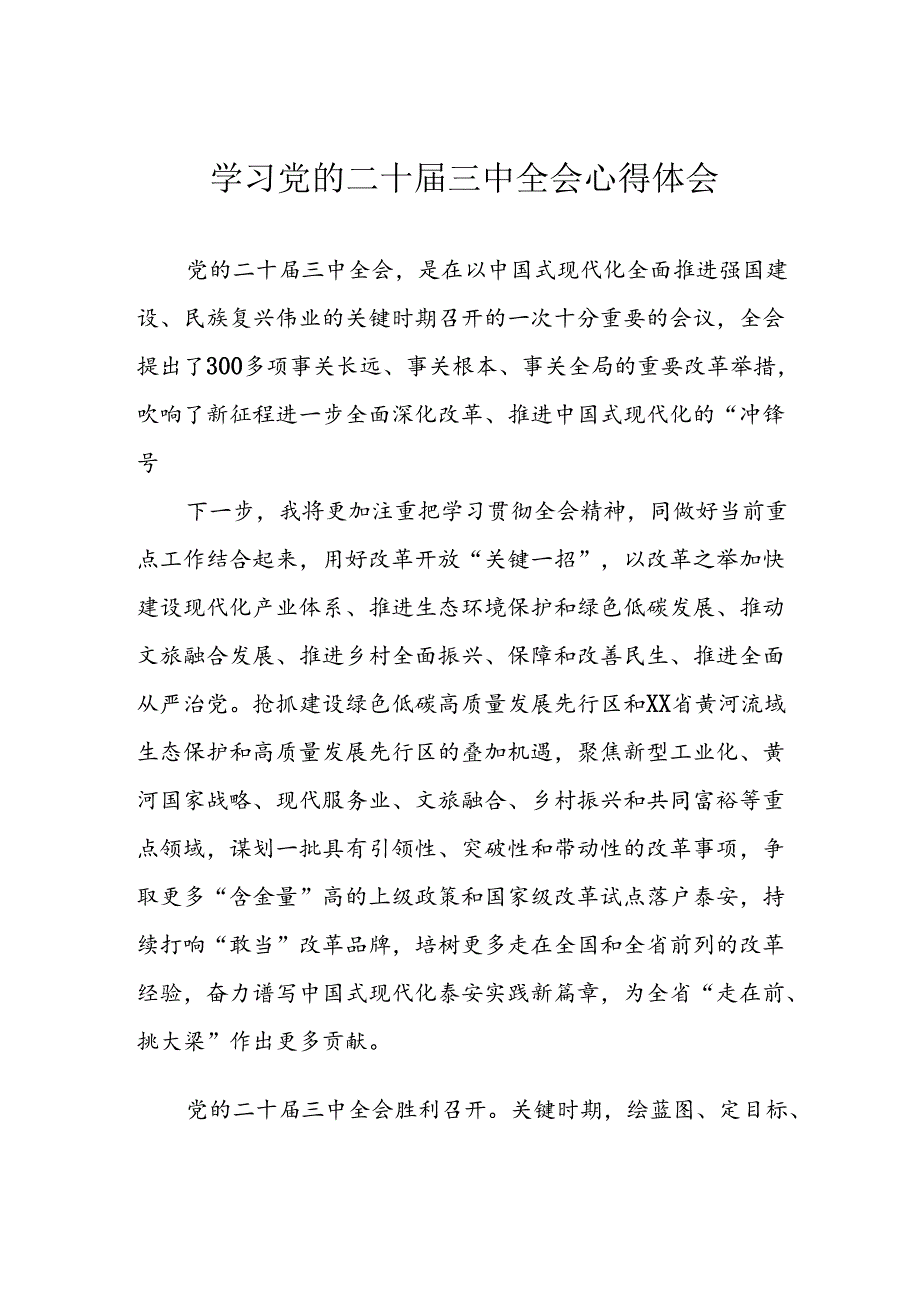 2024年学习学习党的二十三中全会个人心得感悟(4).docx_第1页