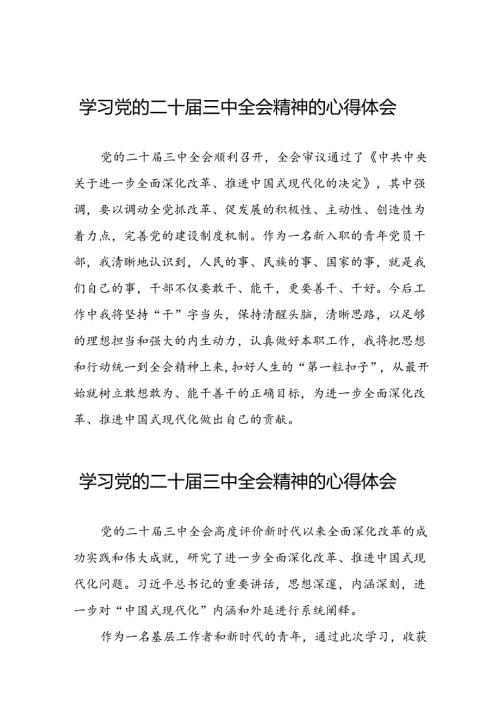 关于二十三中全会精神的学习心得体会范文.docx