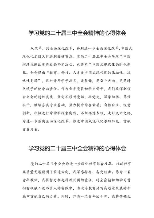 2024年学习贯彻二十三中全会心得体会模板合集二十七篇.docx