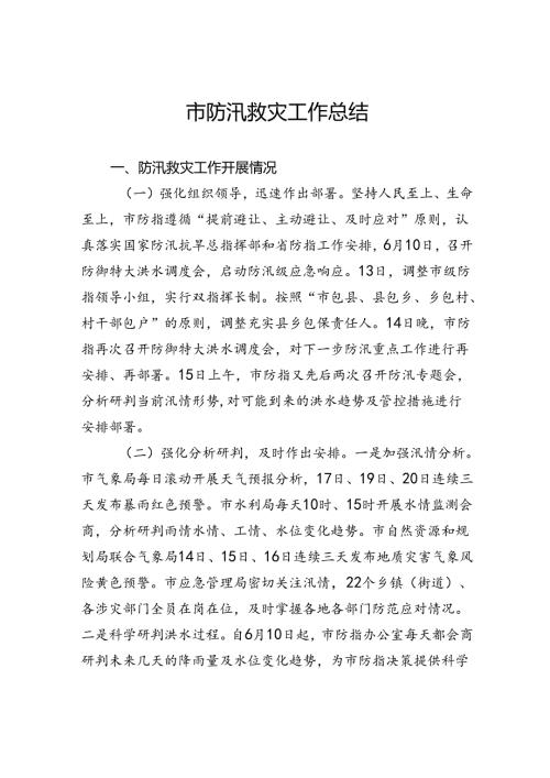 市防汛救灾工作总结.docx