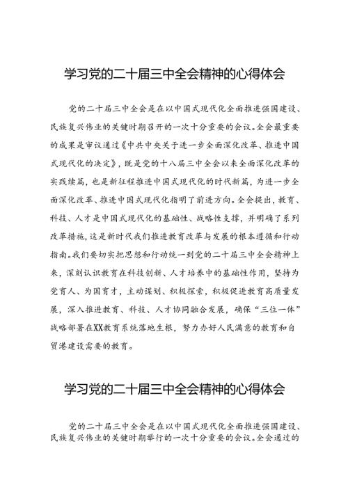 学习贯彻2024年二十三中全会精神心得体会优秀范文28篇.docx