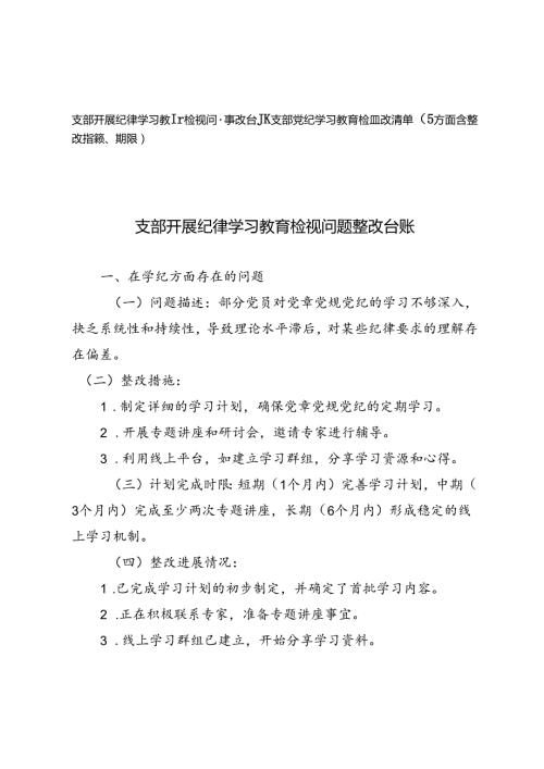 支部开展纪律学习教育检视问题整改台账+支部党纪学习教育检视整改清单（5方面含整改措施、期限）.docx