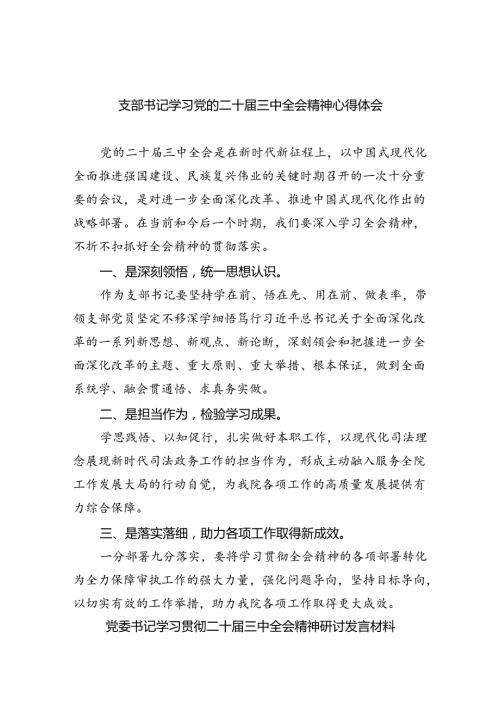 支部书记学习党的二十三中全会精神心得体会8篇（详细版）.docx