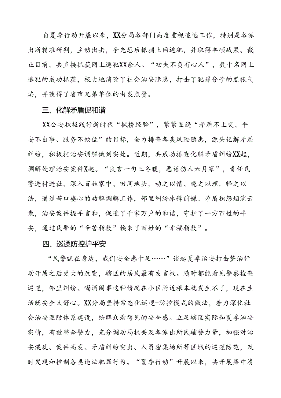 2024年夏季治安打击整治专项工作总结16篇.docx_第3页