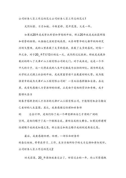 公司财务人员工作总结范文.docx