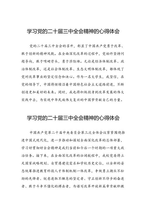 学习党的二十三中全会精神心得体会发言材料二十六篇.docx