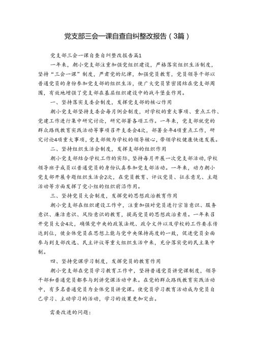 党支部三会一课自查自纠整改报告（3篇）.docx