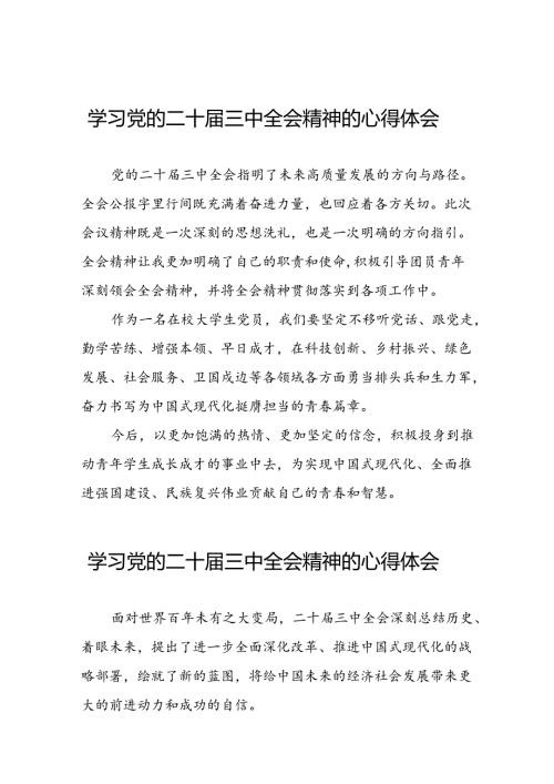 2024年学习党的二十三中全会精神的心得体会精选模板二十七篇.docx