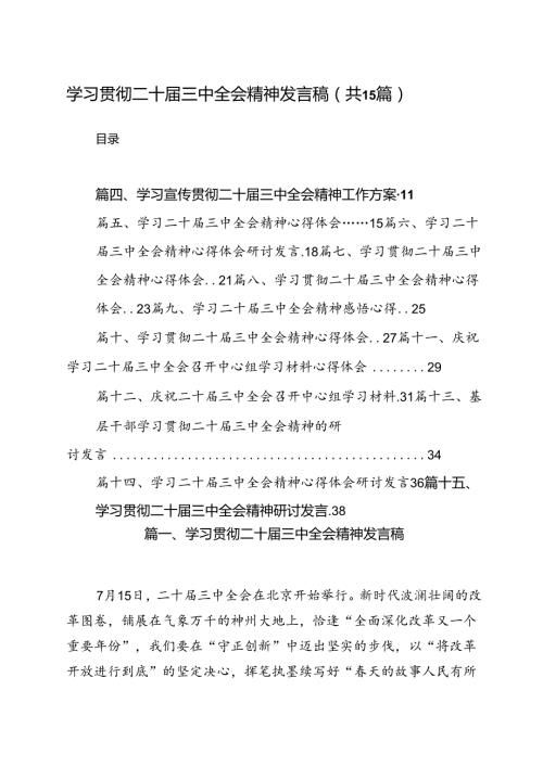 学习贯彻二十三中全会精神发言稿（共15篇）.docx