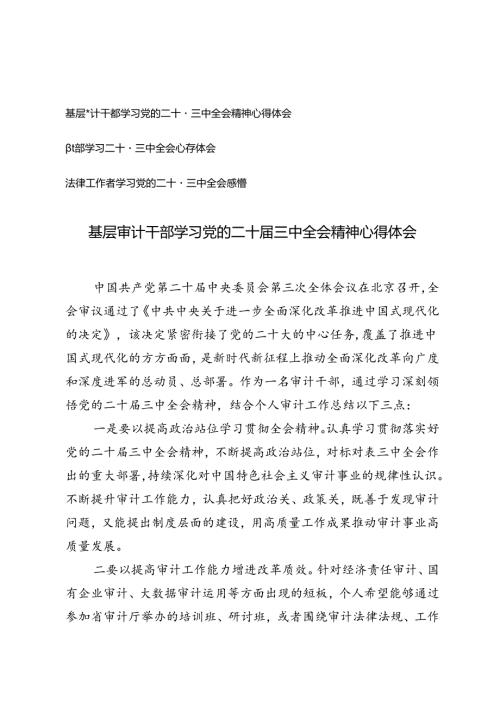 基层审计干部、教师、法律工作者学习党的二十三中全会精神心得体会.docx