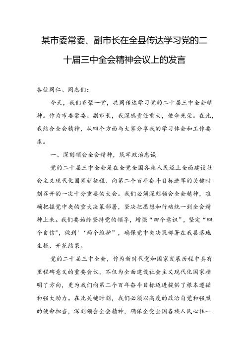 某市委常委、副市长在全县传达学习党的二十三中全会精神会议上的发言.docx