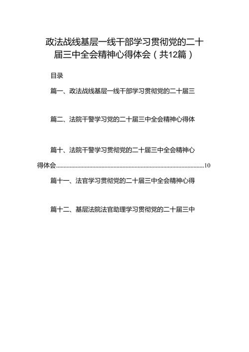 政法战线基层一线干部学习贯彻党的二十三中全会精神心得体会（共12篇）.docx