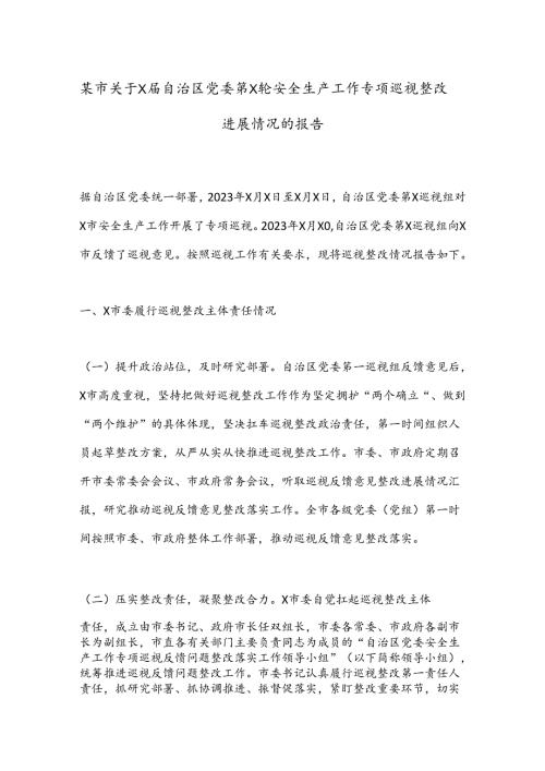 某市关于X自治区党委第X轮安全生产工作专项巡视整改进展情况的报告.docx