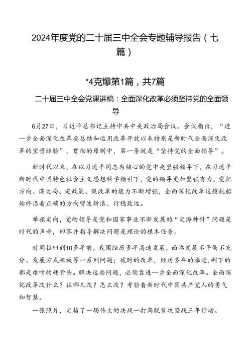 2024党的二十三中全会专题辅导报告（七篇）.docx