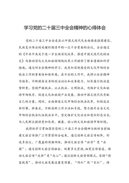 2024年二十三中全会精神学习体会模板三十篇.docx