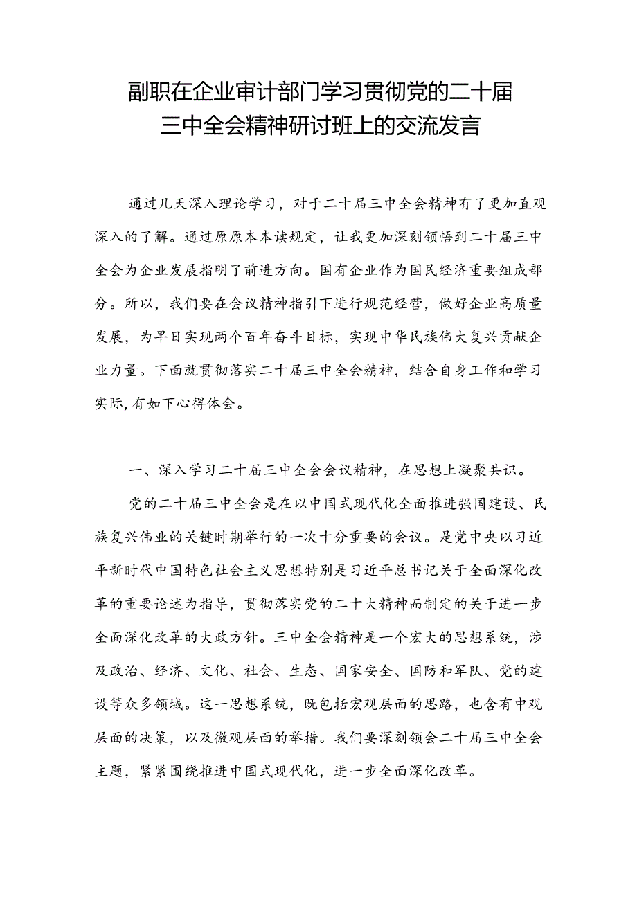 公司副职在企业审计部门学习贯彻党的二十三中全会精神研讨班上的交流发言.docx_第1页