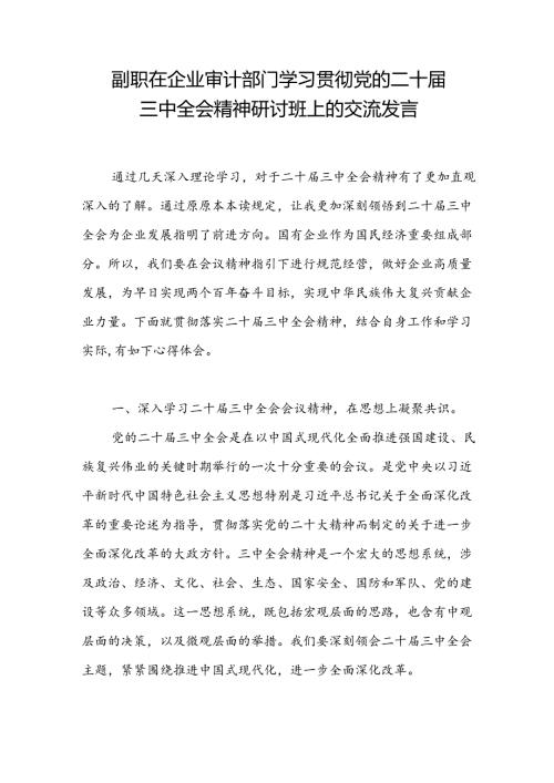 公司副职在企业审计部门学习贯彻党的二十三中全会精神研讨班上的交流发言.docx